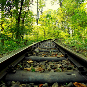 Go where yuo want to Go by Subhadeep Das - Transportation Railway Tracks