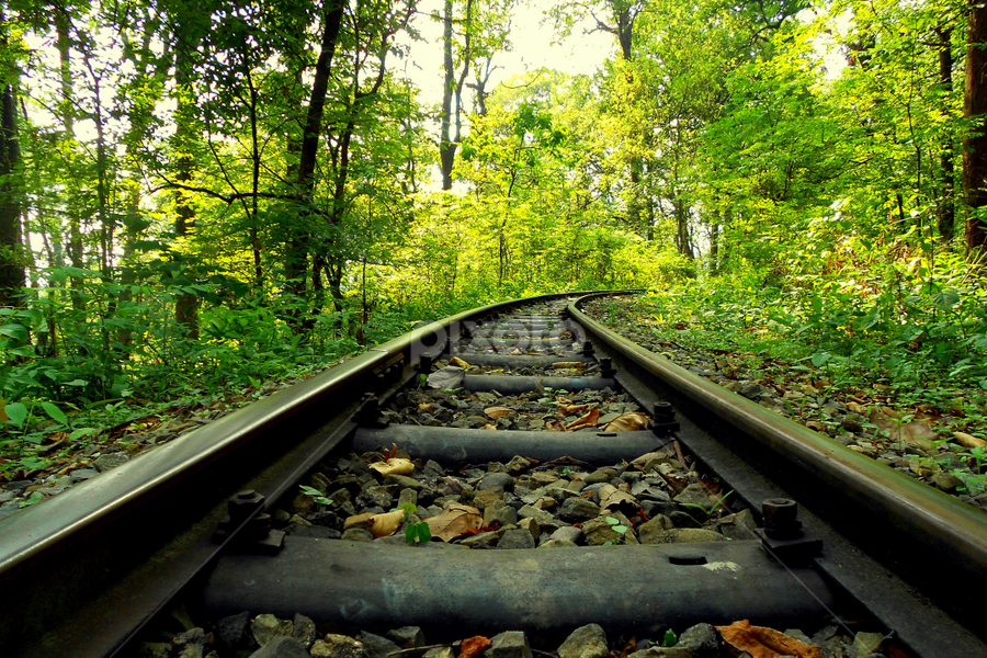 Go where yuo want to Go by Subhadeep Das - Transportation Railway Tracks