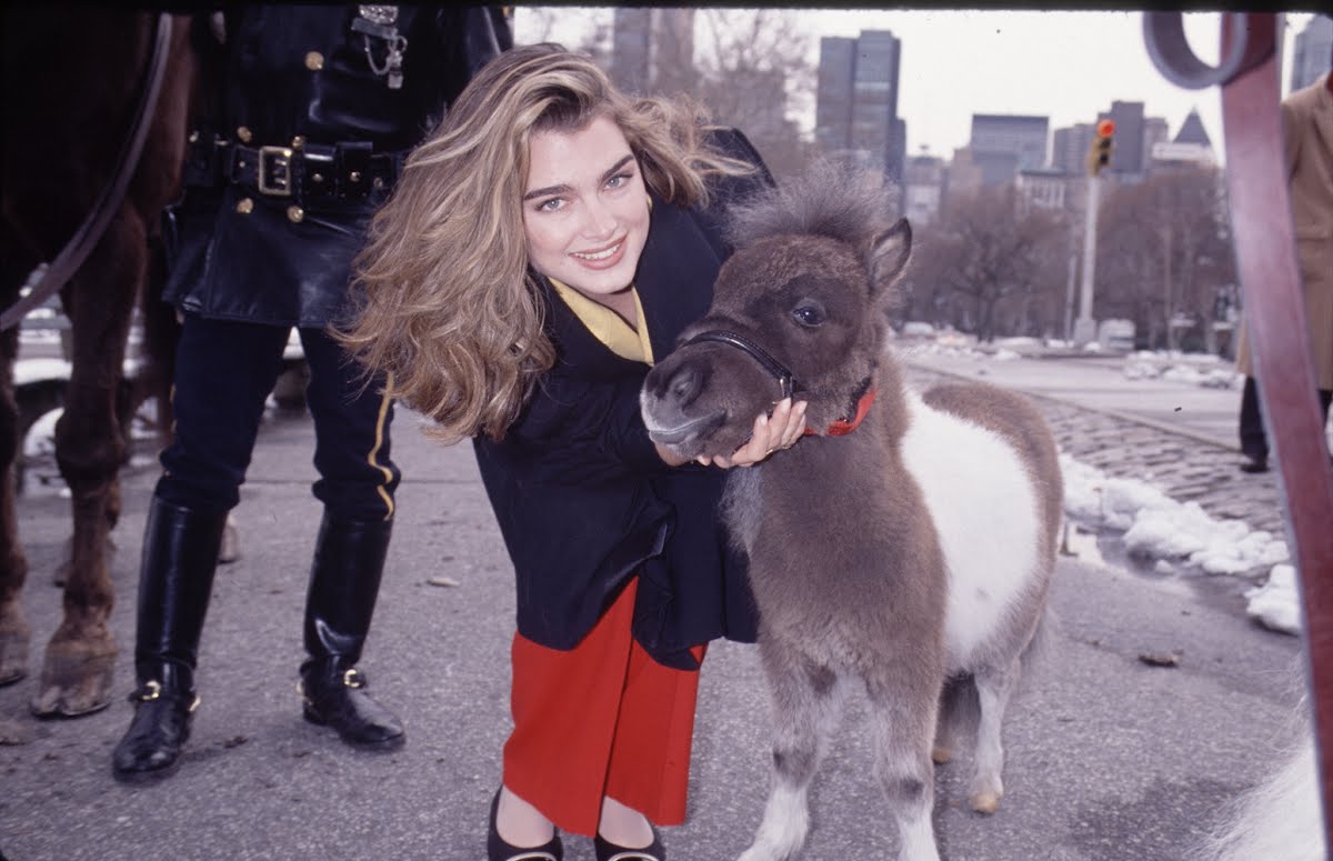 Brooke Shields 1984-1993 — Google Arts & Culture