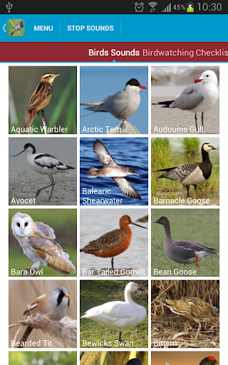 免費下載教育APP|UK Birds Sounds app開箱文|APP開箱王