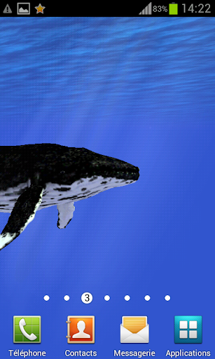 海 クジラ ライブ壁紙