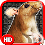 Sewer Rat Run 3D HD Apk