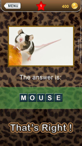 【免費解謎App】Who am I? -animal guess trivia-APP點子