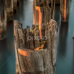 Hung Out to Dry by Phil Hanna - Landscapes Waterscapes
