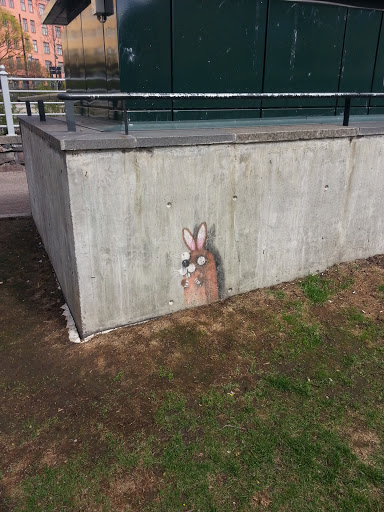 Rabbit Painting on the Wall