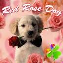 Red Rose Dog Theme GO Launcher mobile app icon
