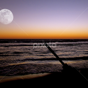 Beach Moon by Carlos Casillas - Landscapes Waterscapes