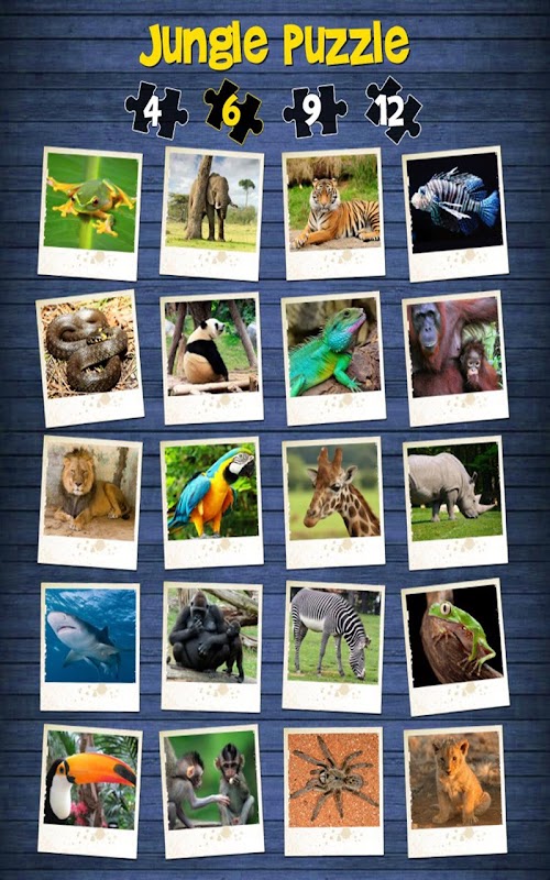 Android application Jungle Puzzle - fun for kids screenshort