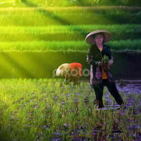 Once morning... by A Friyana Wiradikarta - People Portraits of Women