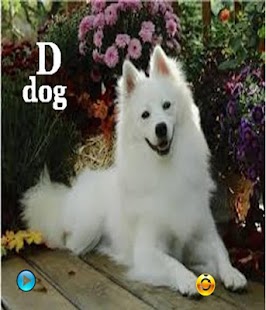 download ABC Lagu free