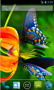 How to get Butterfly Live Wallpaper patch 1.2 apk for android