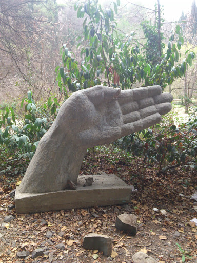 Botanical Garden Hand Statue
