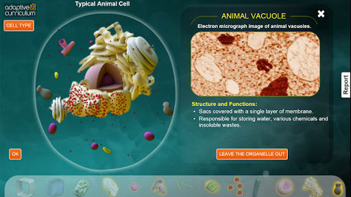 Cells and Their Components