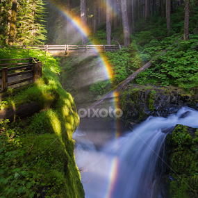 Sol Duc Falls by Mark Smith - Landscapes Waterscapes