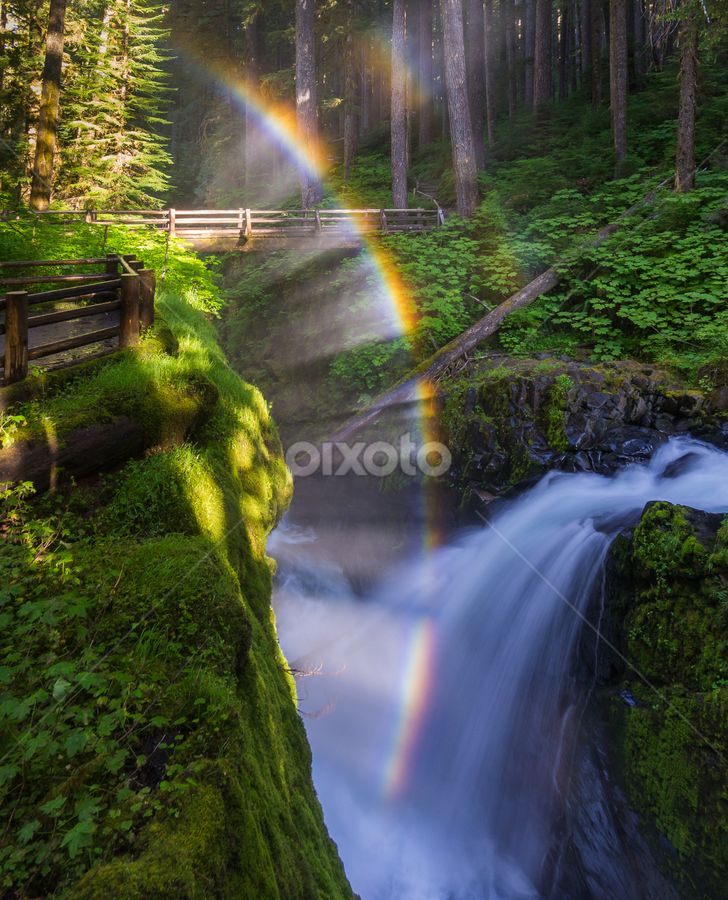 Sol Duc Falls by Mark Smith - Landscapes Waterscapes