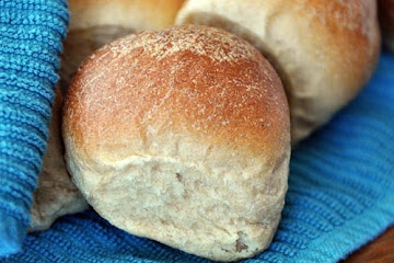 Fluffy Whole Wheat Dinner Rolls
