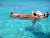 Pigs don't fly but they do swim in the Exuma district of the Bahamas.  
