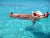 Pigs don't fly but they do swim in the Exuma district of the Bahamas.  