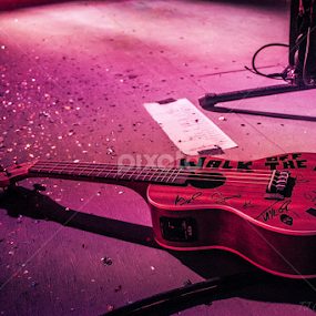 One fluky Woteling every single show... by TJ Champagne - People Musicians & Entertainers