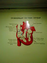 Heart System Wall