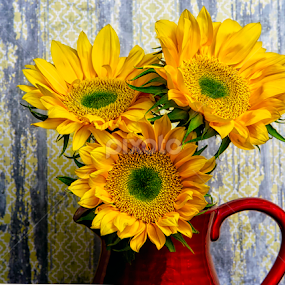 by Nancie Rowan - Flowers Flower Arangements