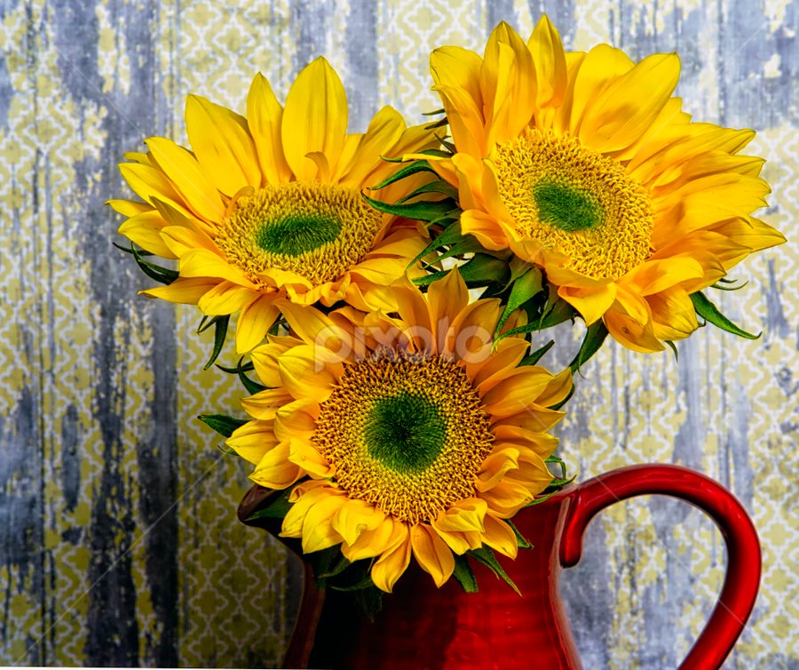 by Nancie Rowan - Flowers Flower Arangements