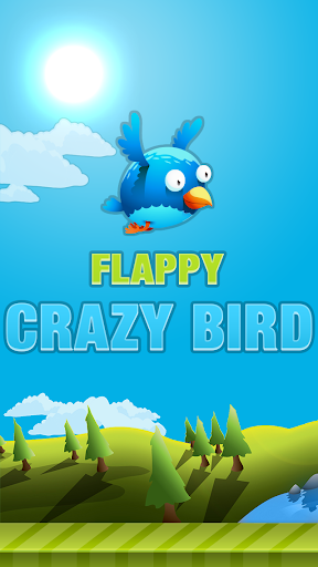 Crazy Bird