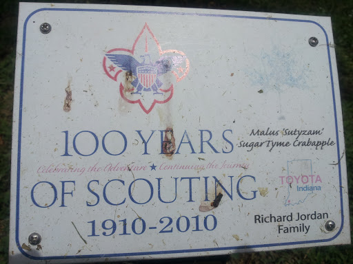 100 Years of Scouting