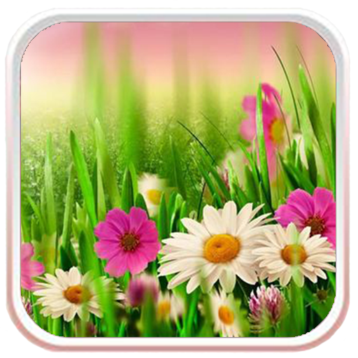 Spring Meadow Live Wallpaper 攝影 App LOGO-APP開箱王