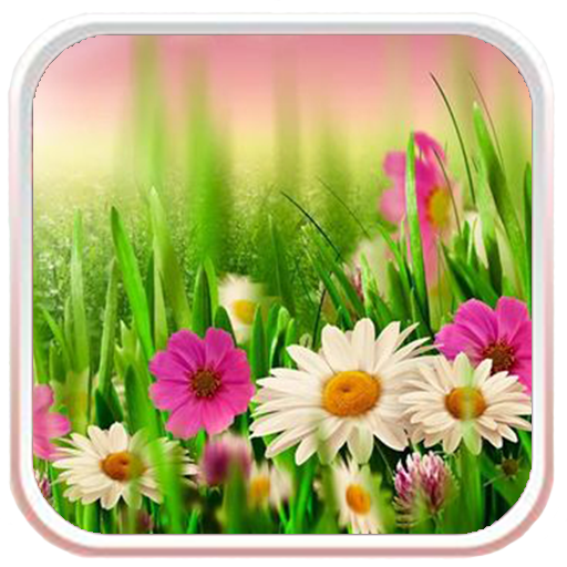 Spring Meadow Live Wallpaper LOGO-APP點子