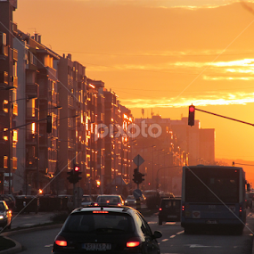 Sunset painted street by Vladimir Bogovac - City,  Street & Park Street Scenes