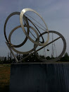 Olympic Cicles