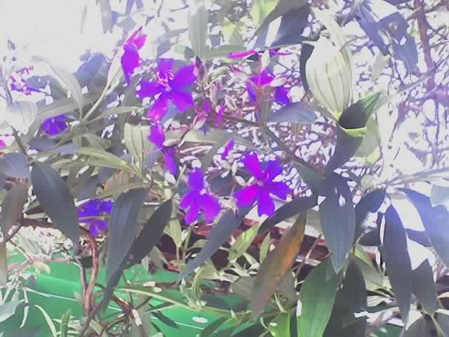 [27-03-08_1012[12].jpg]