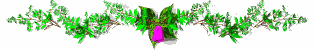 bar_flower_animl