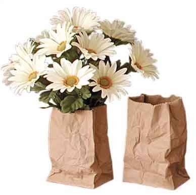 [margaridas[11].jpg]