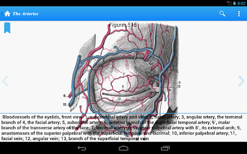 免費下載醫療APP|Gray's Anatomy Lite app開箱文|APP開箱王