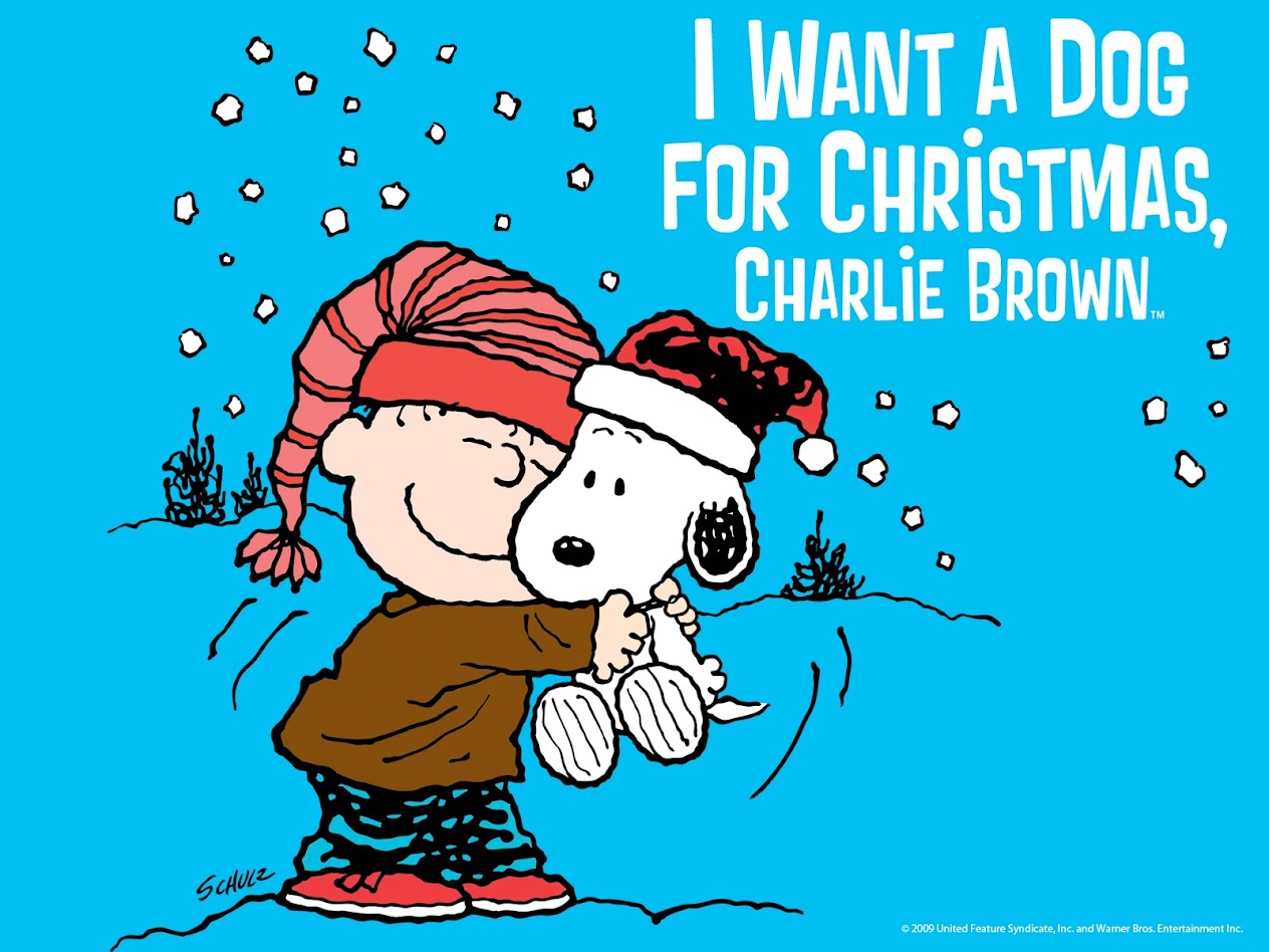 I Want A Dog For Christmas Charlie Brown 