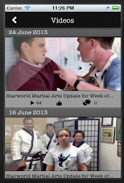 Starworld Martial Arts by Helix Mobile Marketing poster 7