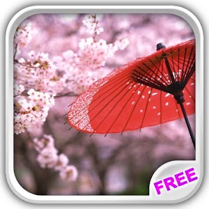 Sakura Flowers Live Wallpaper.apk 1.7.2