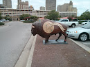 Bank of Oklahoma Buffalo Statue 