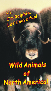 How to mod Wild Animals of North America 2.0 apk for android