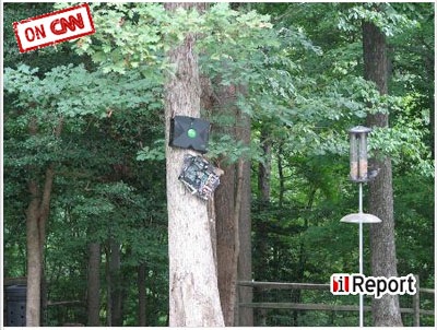 [xbox-nailed[4].jpg]