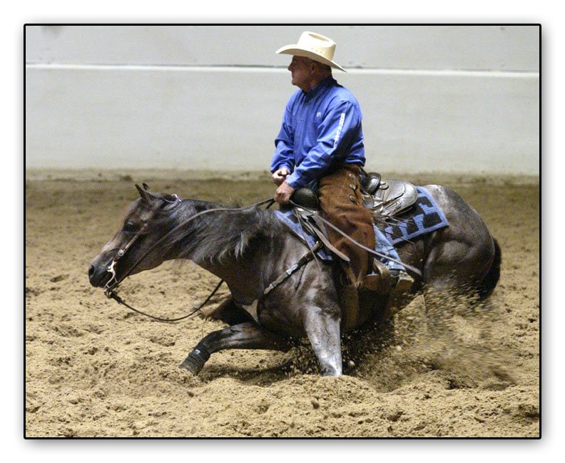 Article on Bill Freeman's death - Free Speech Horse Forum