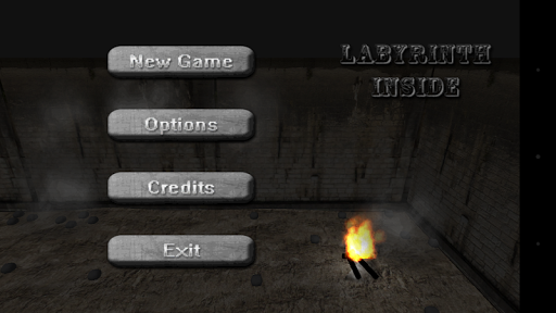 Labyrinth Inside - Horror 3D