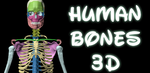Human skeleton 3D (anatomy) -  apk apps
