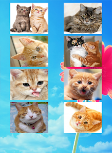 Download Cute Cat Puzzle APK for PC