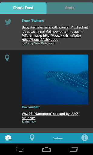 【免費旅遊App】Whale Shark Network Maldives-APP點子