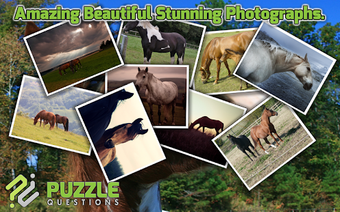 Horse Puzzles Screenshots 9