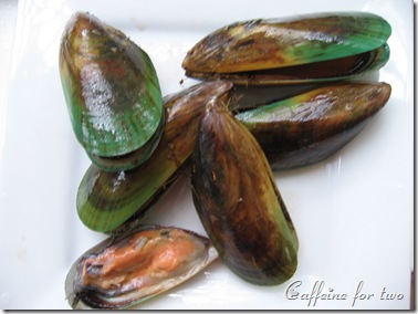 green lips mussel (1)