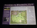 Welcome To Blueberry Park